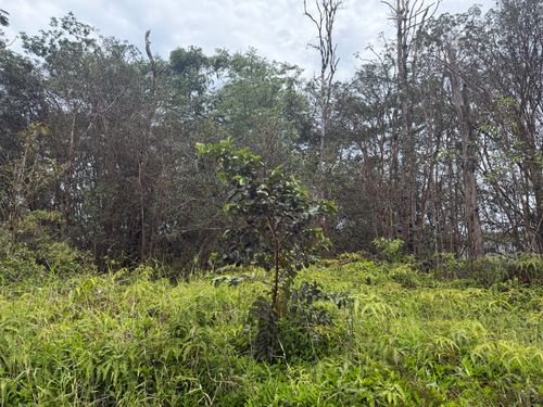 16-2033 Sandalwood Ct, KURTISTOWN, HI, 96760 | Card Image