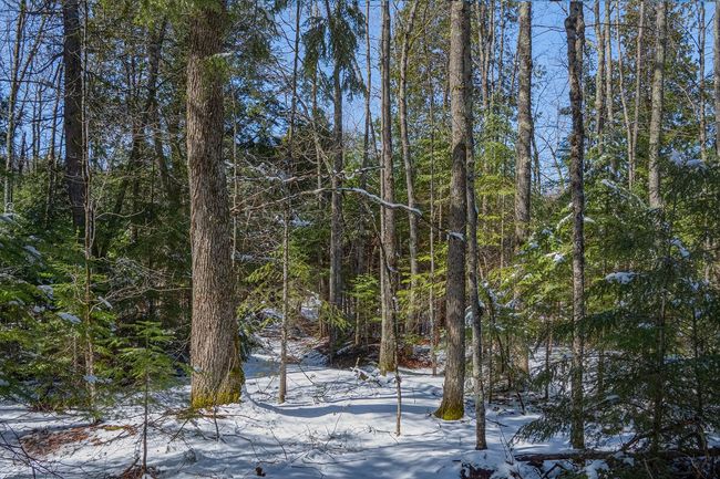 160-acre Pleasant Lake Rd, Home with 0 bedrooms, 0 bathrooms and null parking in Upson WI | Image 18