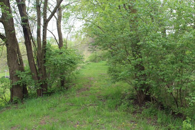 wooded trail | Image 29