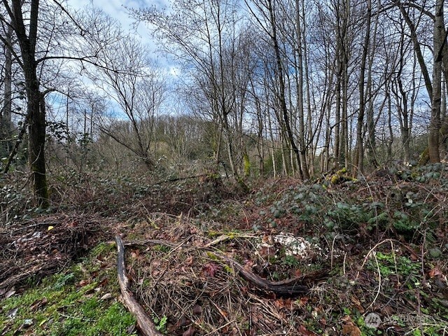 Land in Seattle 5