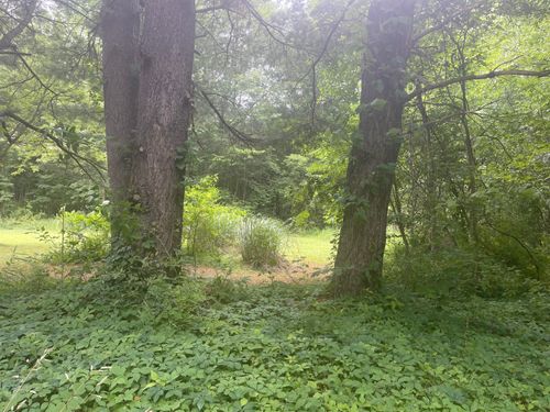 VACANT LOT Miami Ave, Grand Junction, MI, 49056 | Card Image