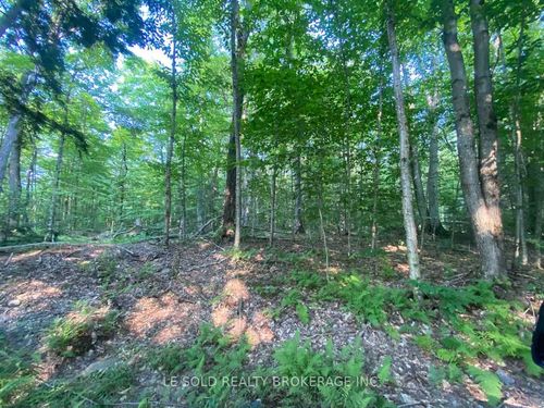 lot-7-1310 Camel Lake Rd, Bracebridge, ON, P1L1X4 | Card Image