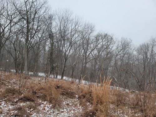 350 Baker St, Anna, IL, 62906 | Card Image