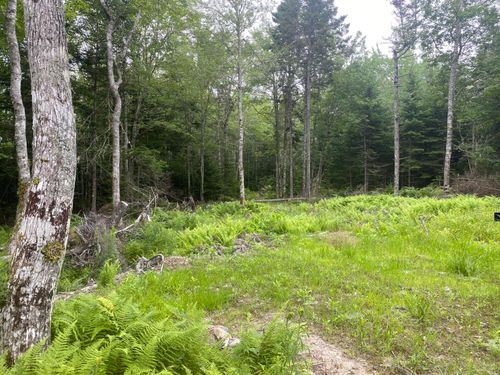 53 Woodland Drive, Trenton, ME, 04605 | Card Image