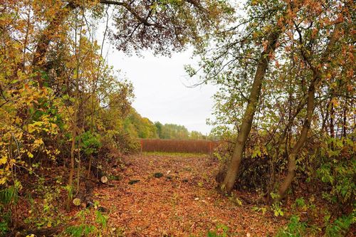 Lt2 County Road As, Adell, WI, 53093 | Card Image