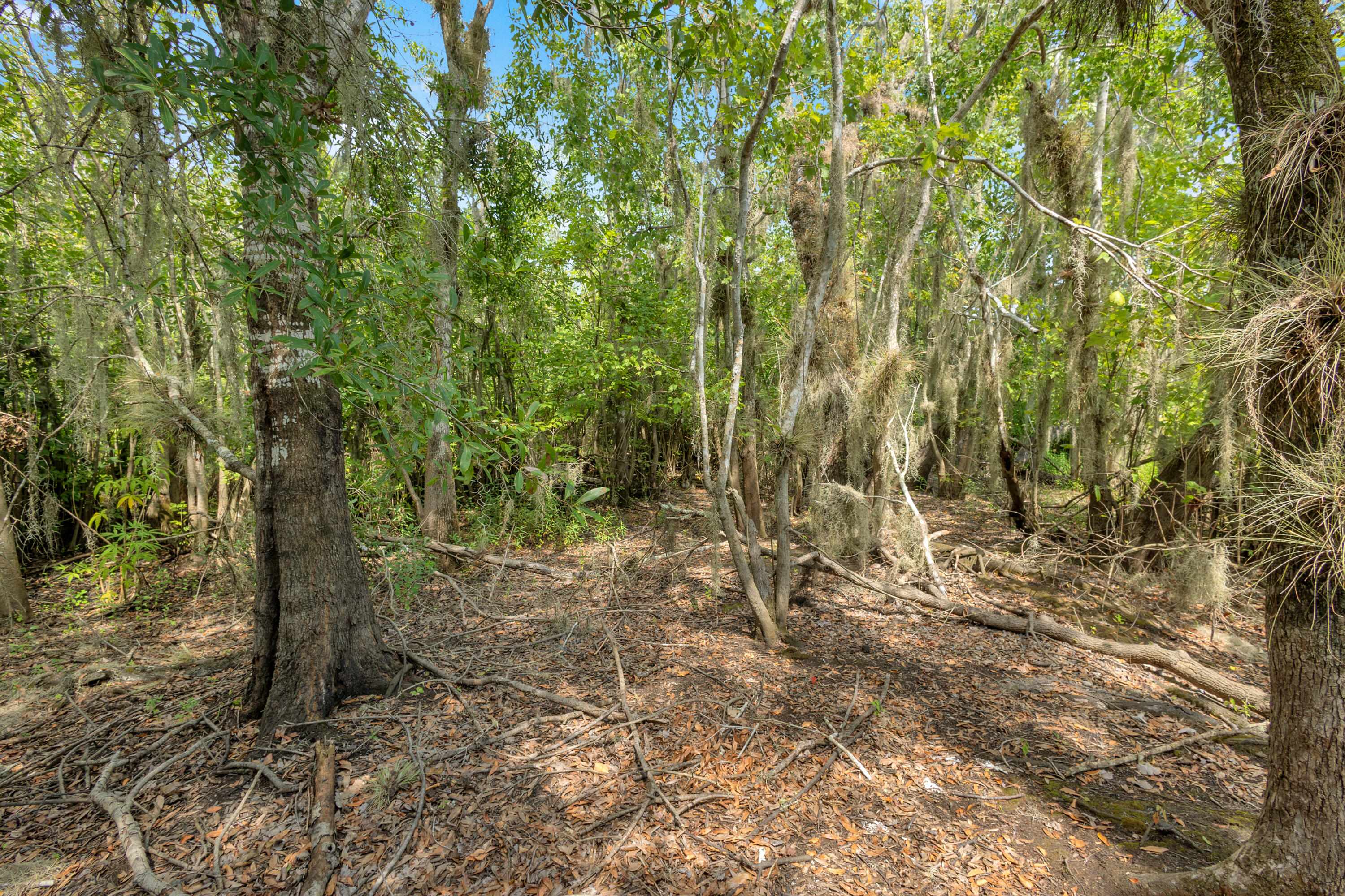 Land in Deland 3