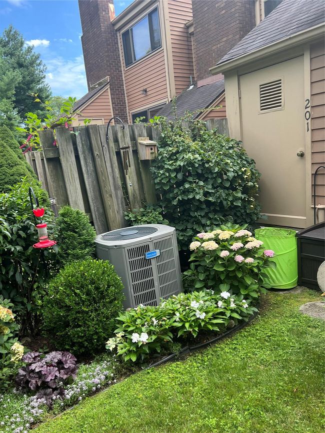 Perennials in the back garden will be blooming soon | Image 30