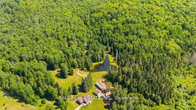 4263 Loop Rd, House other with 4 bedrooms, 2 bathrooms and 7 parking in Harcourt ON | Image 39