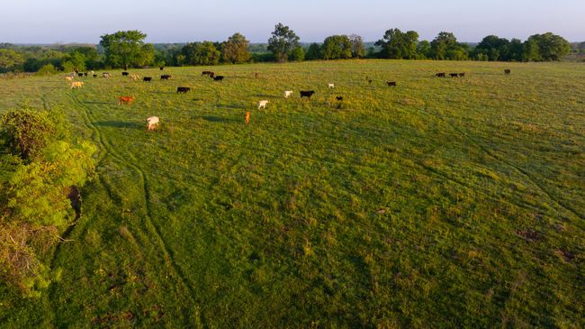 View of yard with a rural view | Image 28