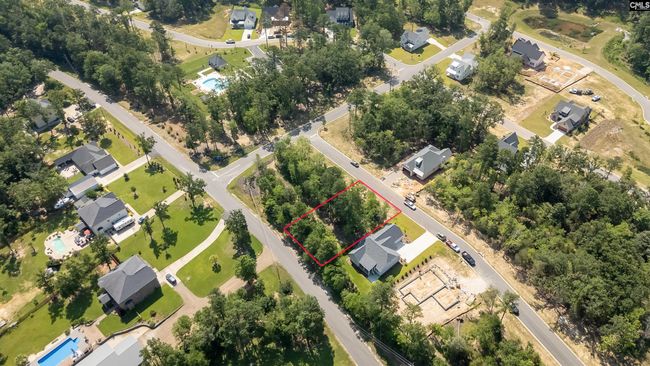 812 Elms Spinney Ln, Home with 0 bedrooms, 0 bathrooms and null parking in Chapin SC | Image 21