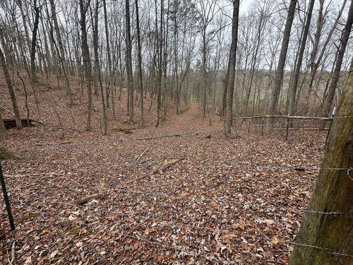 12062 Browns Hollow Rd, Tracy City, TN, 37387 | Card Image