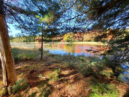 0 Clifford Lake Road, Greenlaw Chopping Twp, ME, 04668 | Card Image