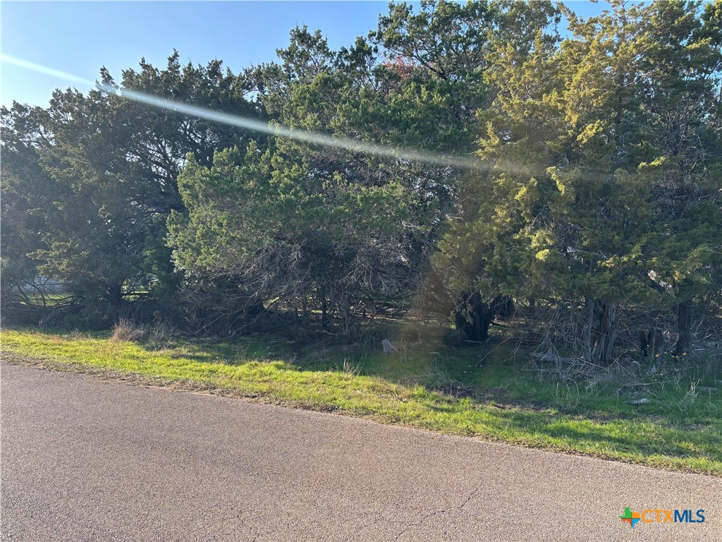 Land in Belton 3