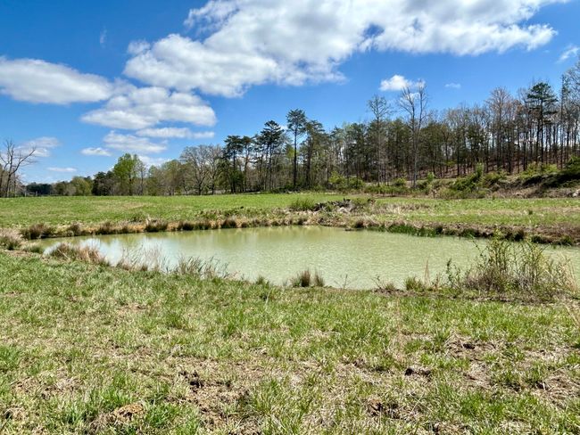 428 Dick Wilson Rd, Home with 0 bedrooms, 0 bathrooms and null parking in Strunk KY | Image 13