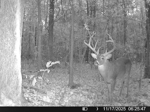 483 Phillips 131 Rd, Marvell, AR, 72366 | Card Image