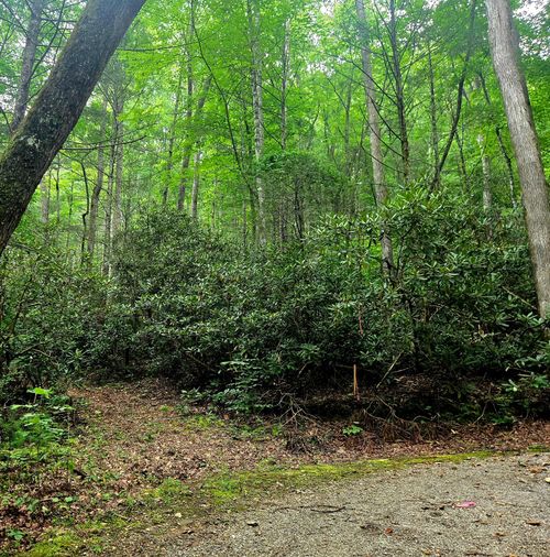 0 Holder Cemetery Rd, Tellico Plains, TN, 37385 | Card Image