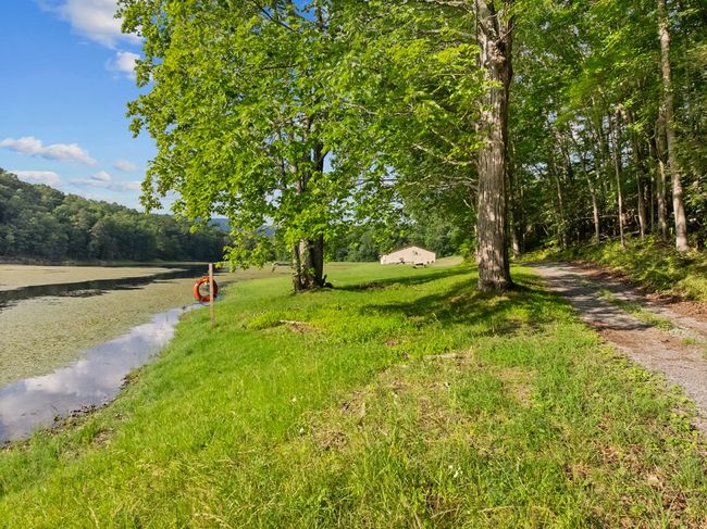 1071 Lodge Dr, Home with 4 bedrooms, 2 bathrooms and null parking in Bastian VA | Image 72