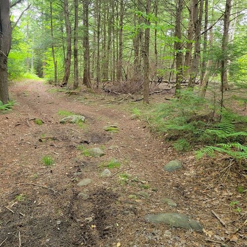 0 Stockwell Rd, Royalston, MA, 01368 | Card Image