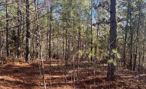 5030 Sand Mountain Rd, Enville, TN, 38332 | Card Image