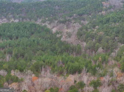 lot-4-0 Hopeful Rd, Munford, AL, 36268 | Card Image