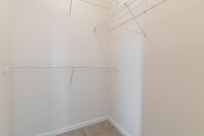 282 swaying pines-30 | Image 27