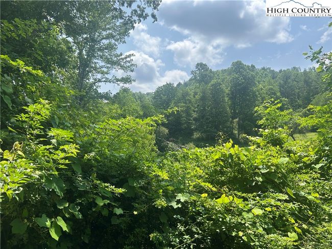 Area View! | Image 22