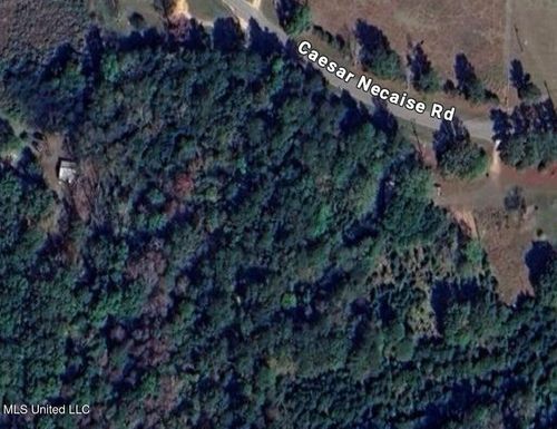 0 Caesar Necaise Rd, Perkinston, MS, 39573 | Card Image