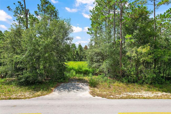 000 Lake Seneca Road, Home with 0 bedrooms, 0 bathrooms and null parking in Eustis FL | Image 2