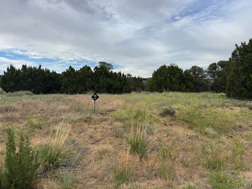 L2 B8 Black Diamond Dr, Walsenburg, CO, 81089 | Card Image
