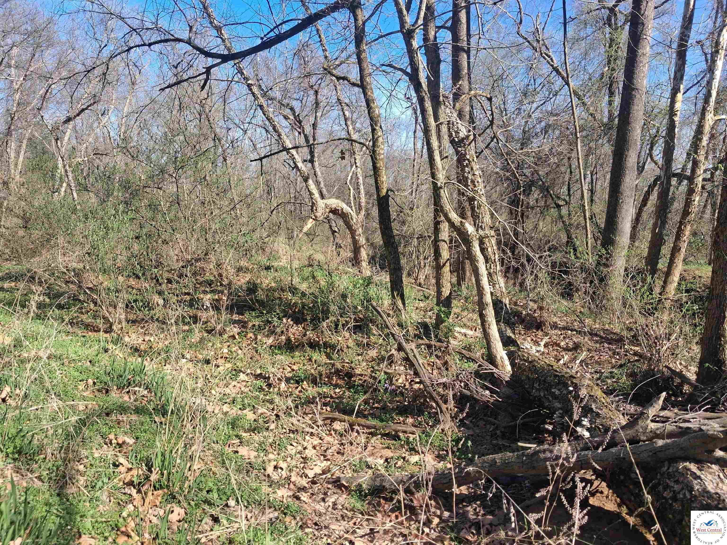 Residential in El Dorado Springs 4