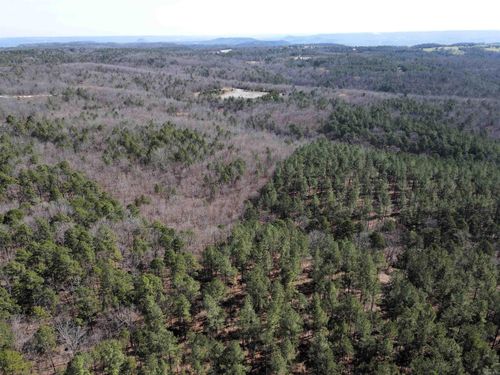 2986 E Mountain Road, Clinton, AR, 72031 | Card Image