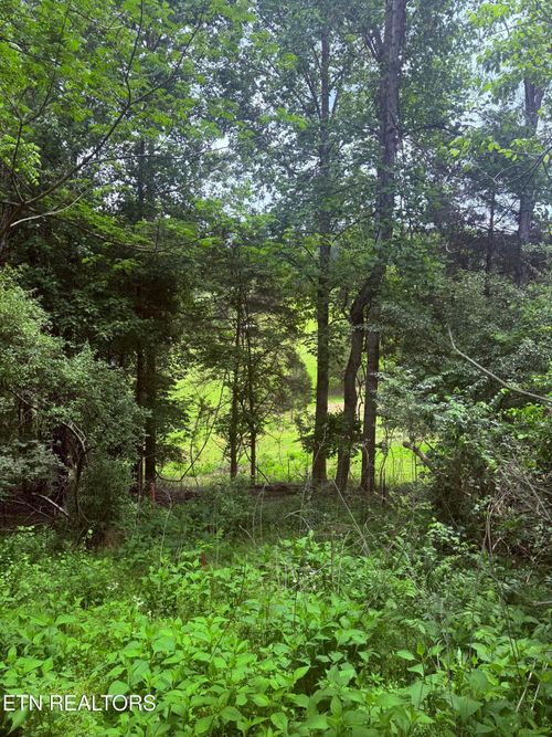 0 Chambers Rd, Jacksboro, TN, 37757 | Card Image