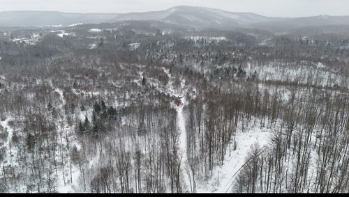 TRACK 14 Frazee Ridge Rd, Danese, WV, 25831 | Card Image