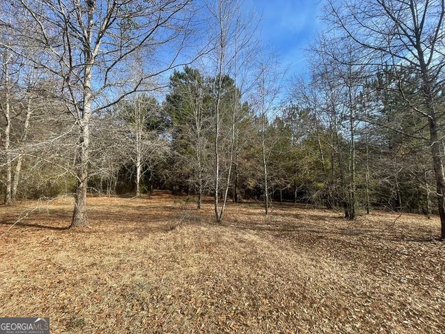 0 Oakland Heights Rd, Home with 0 bedrooms, 0 bathrooms and null parking in Sylvester GA | Image 10