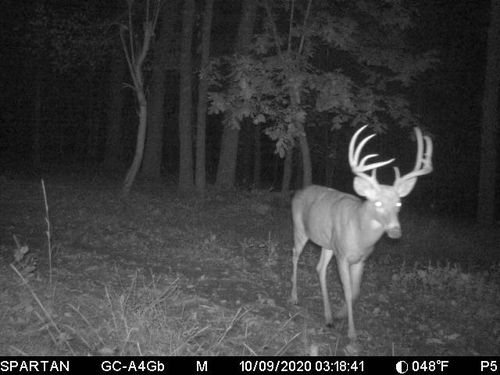 860 True North Way, North Troy, VT, 05859 | Card Image