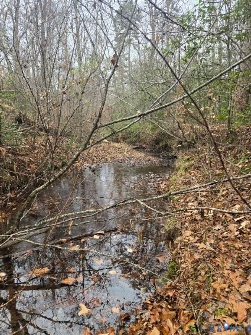 0 Tabscott Rd, Kents Store, VA, 23084 | Card Image