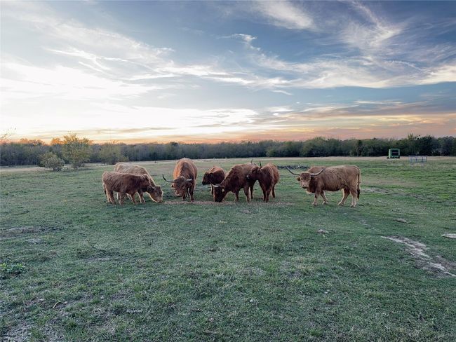 Ready For Livestock! Fully Fenced Property! | Image 36