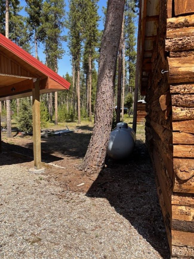 View of yard | Image 23