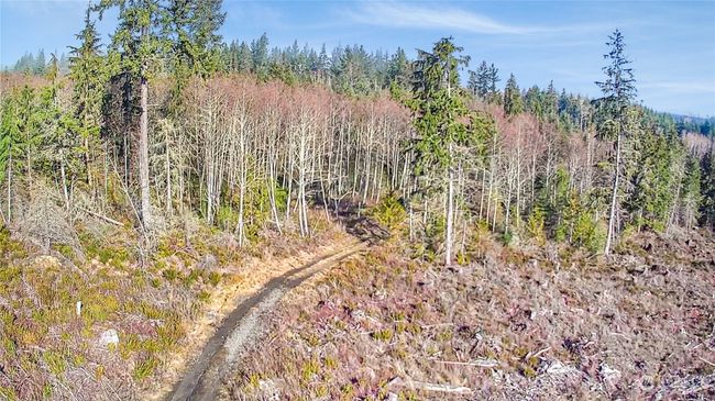 0 Sequim Ave S, Home with 0 bedrooms, 0 bathrooms and null parking in Sequim WA | Image 5