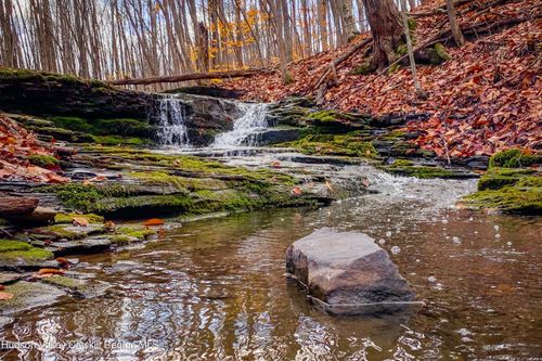 11 Strong Rd, Cornwallville, NY, 12418-1442 | Card Image