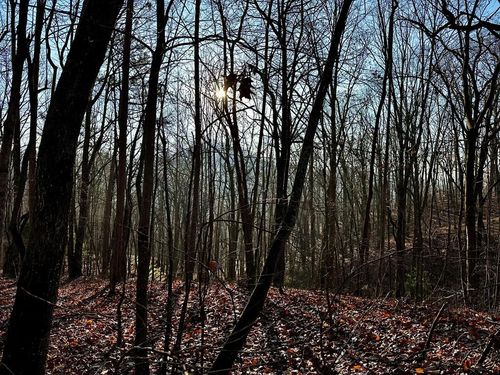 500 Scenic Vista Dr., Murphy, NC, 28906 | Card Image