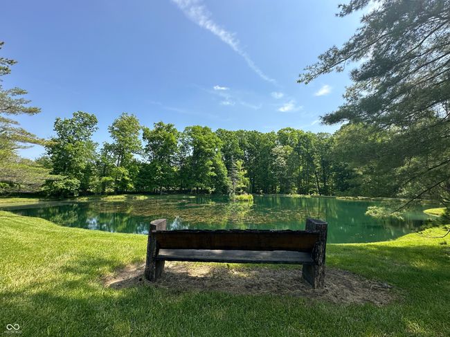 view of grassy yard with a water view and a view of trees | Image 16