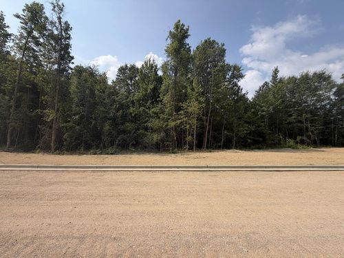Lot 12 Honeydo Court, Smiths Station, AL, 36877 | Card Image