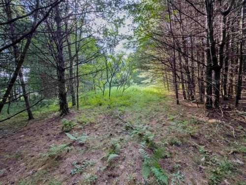 00 Woodsville Rd, Monroe, NH, 03771 | Card Image