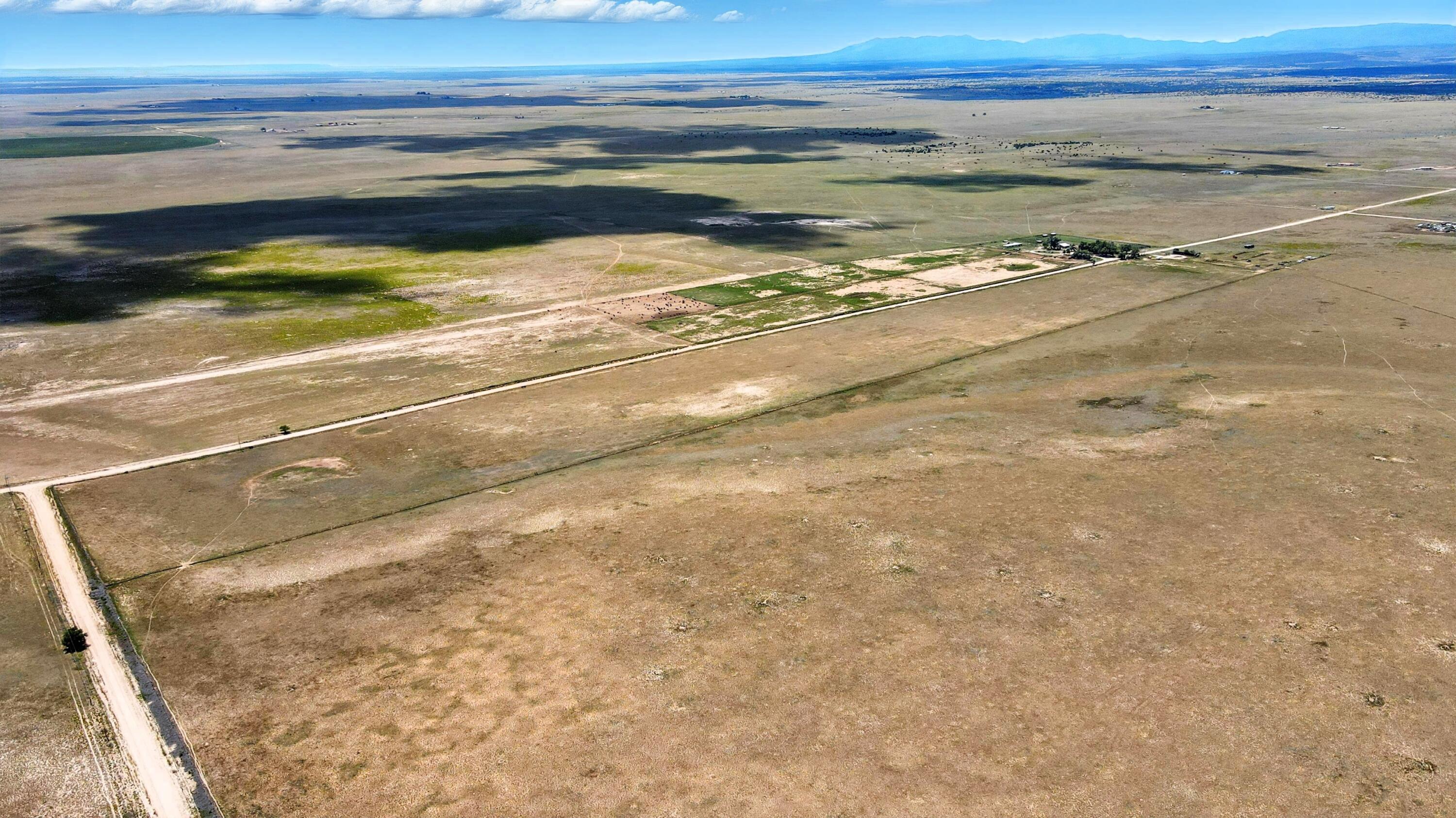 Farm in Estancia 3