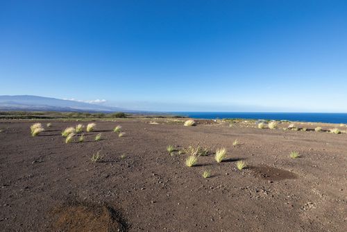 62-3820 Amaui Dr, KAMUELA, HI, 96743 | Card Image