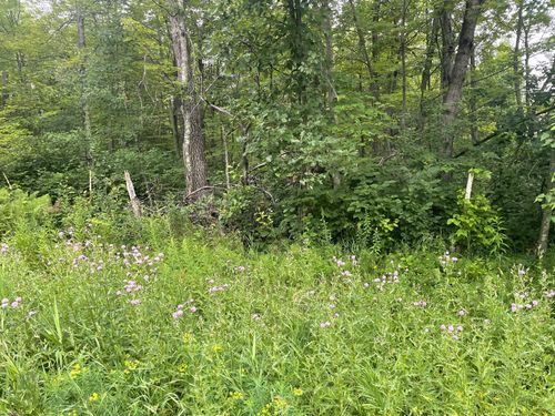 23 Winter Trl, Pequot Lakes, MN, 56472 | Card Image