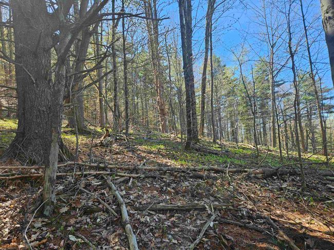 117 Mountain Dr, Home with 0 bedrooms, 0 bathrooms and null parking in Gilford NH | Image 8