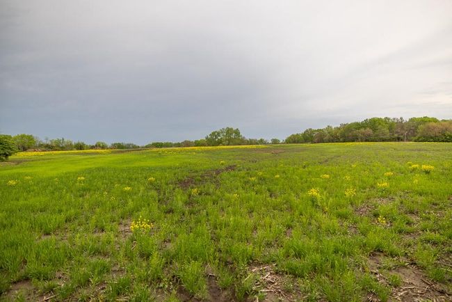 Lot 12 Nora Dodge Dr, Home with 0 bedrooms, 0 bathrooms and null parking in Peculiar MO | Image 21