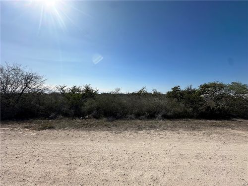 0 County Road 3083, Orange Grove, TX, 78372 | Card Image